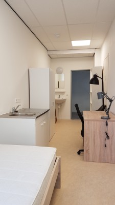 Image 11
